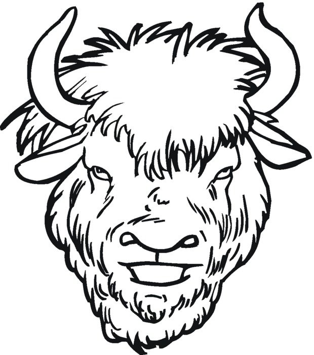Water Buffalo Coloring Page drawing
