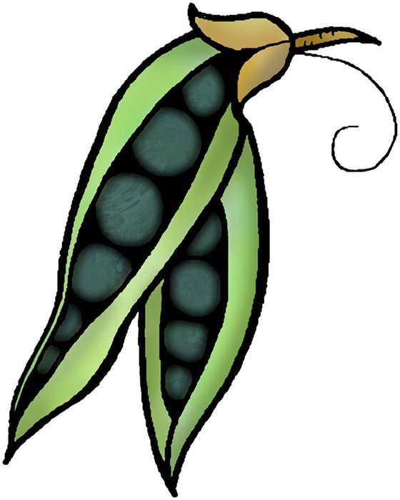 Green Fruit Clip Art N2