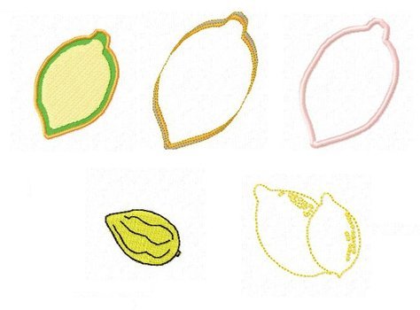 Lulav And Etrog N2