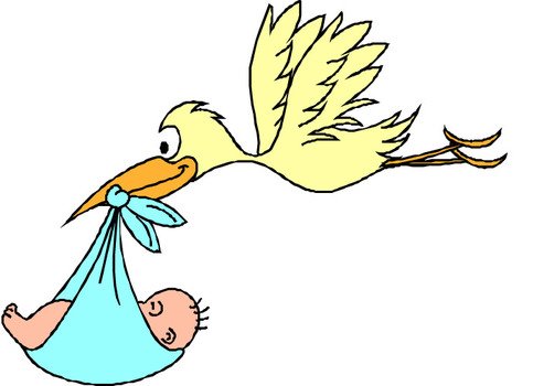 Stork Carrying Baby Clip Art N11