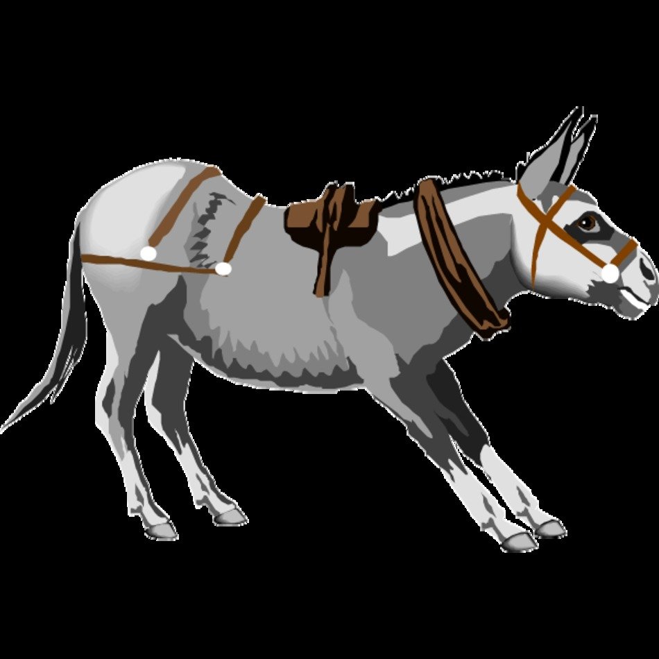 Donkey Clipart 7 600 times600