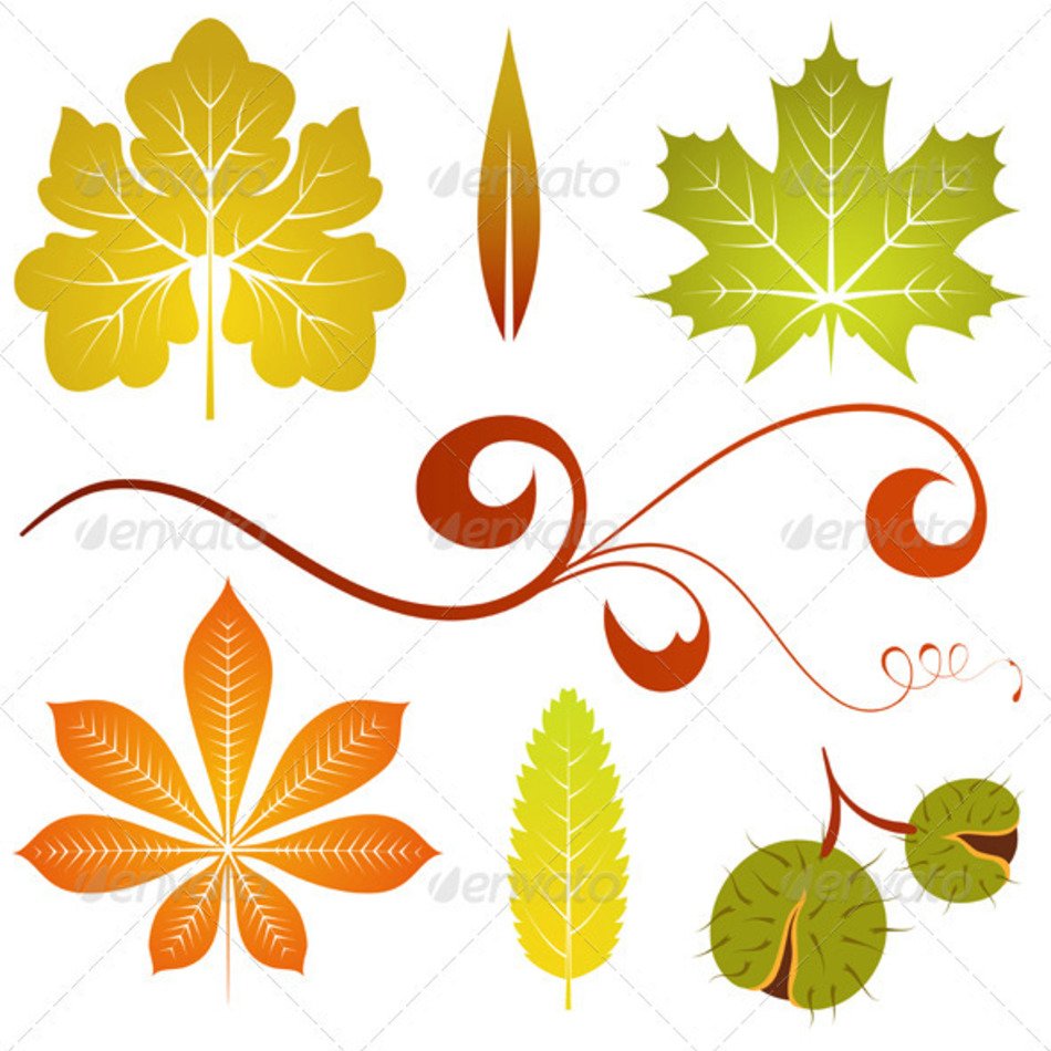 Autumn Leaves Drawings