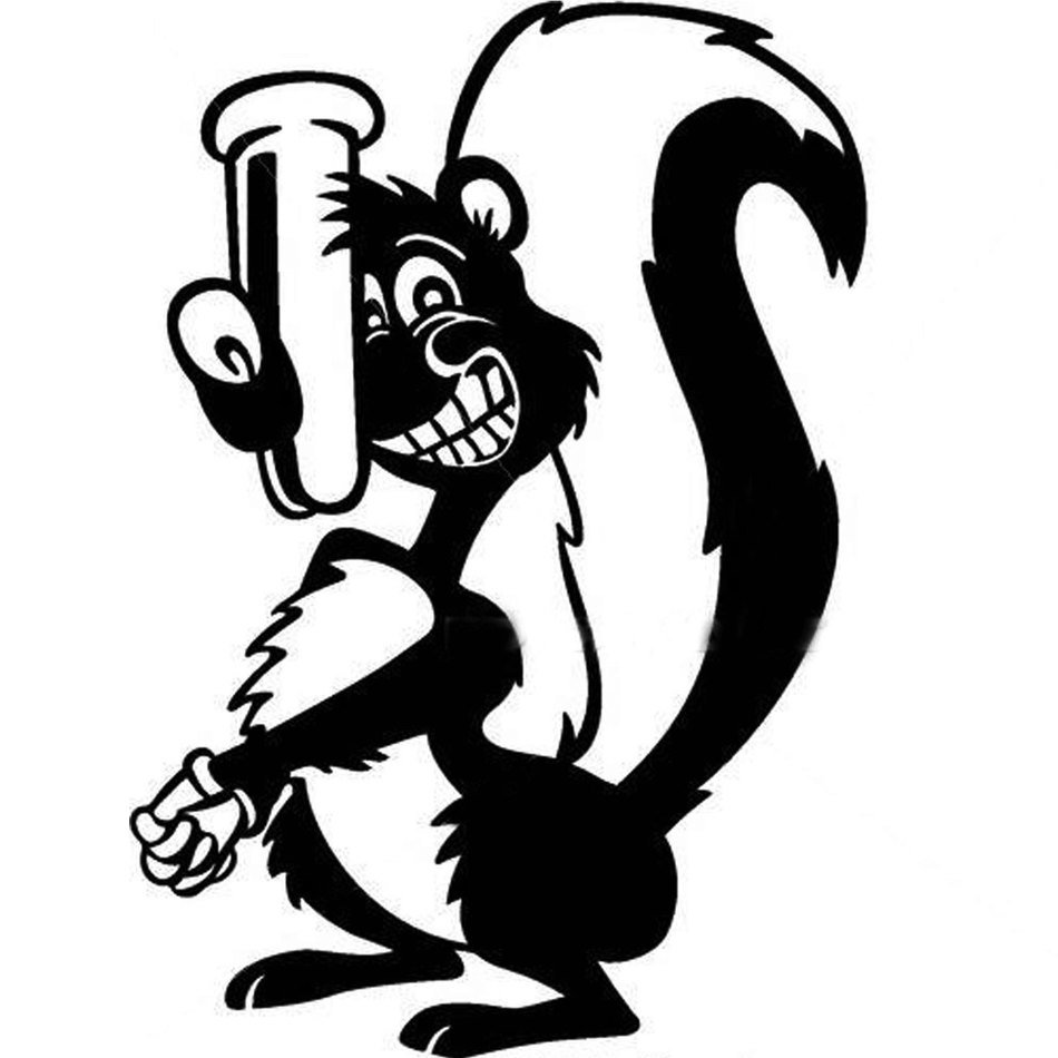 skunk as a picture for clipart