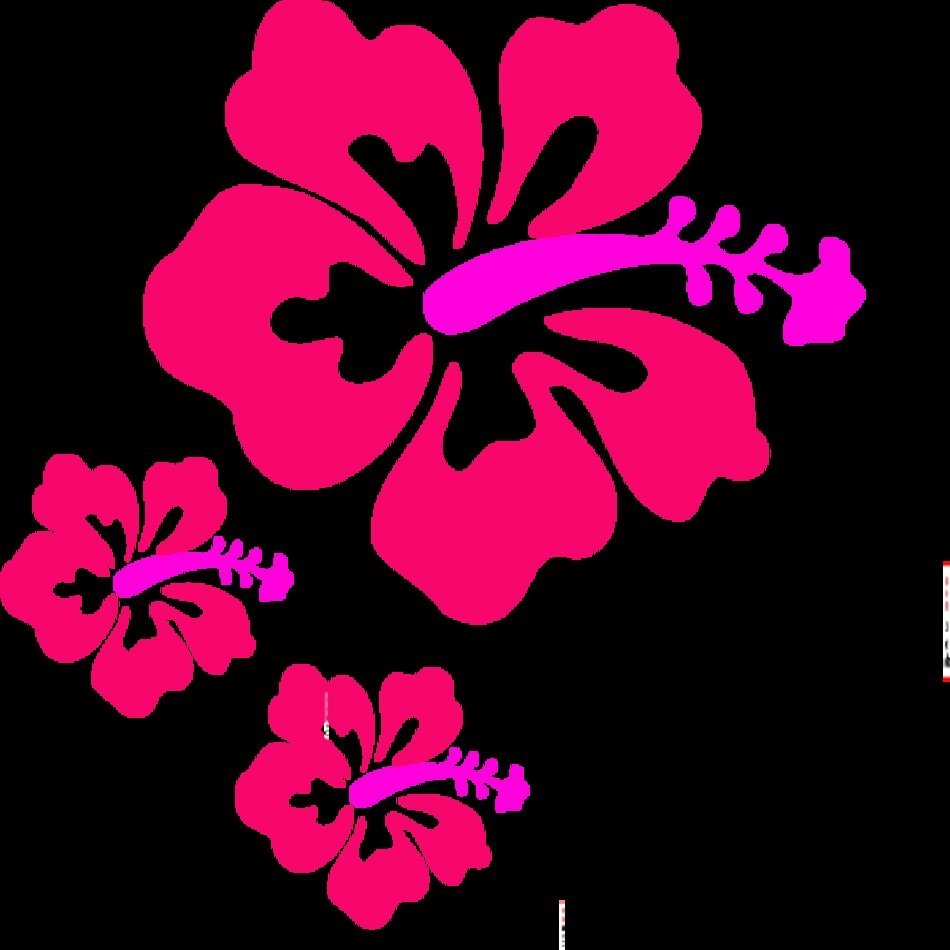 Coral Flower Clip Art N14