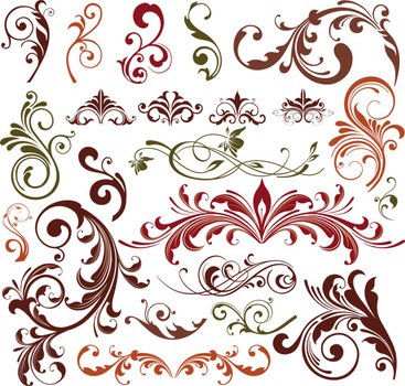 Flower Vector Floral Design N8