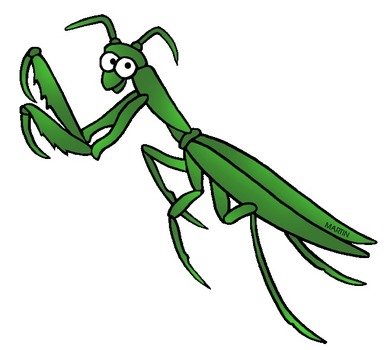 Praying Mantis Clip Art N19
