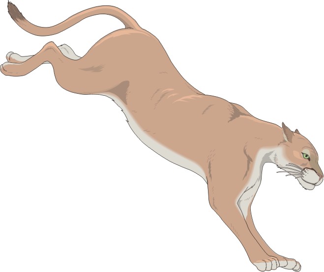 Cartoon Cougar N11 Free Image Download