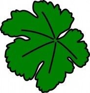 Leaf Vine Clip Art N16