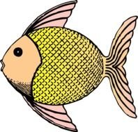 Fish Clip Art N210