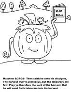 Pumpkin Coloring Pages drawing