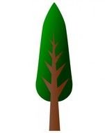 Aspen Tree Clip Art N3