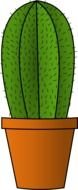 Cactus as a graphic illustration
