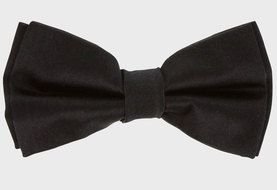 Bow Tie as a picture for clipart