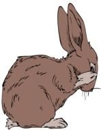 Black And White Cartoon Jack Rabbit