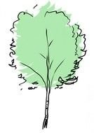 Green Tree Clip Art N13