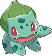 Pokemon Bulbasaur N2