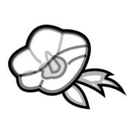 Black And White Rose Icon