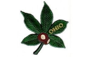 Ohio as a logo