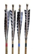 four feather arrows