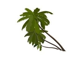 Palm Tree Leaves Clip Art N9