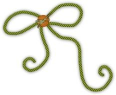 Bow String N2