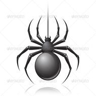 Black Widow Spider N10