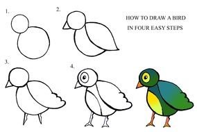 How To Draw Birds Step By N4