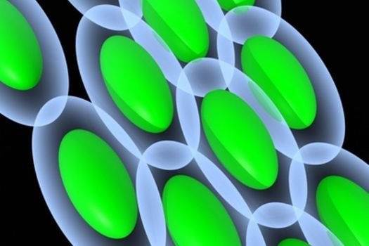 Mitosis Flip Book N2