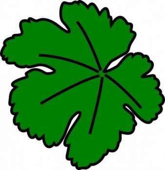 Leaf Vine Clip Art N16