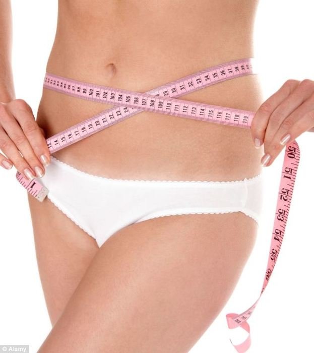 Body Fat Clip Art