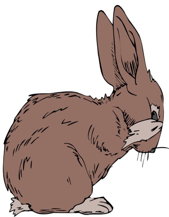 Black And White Cartoon Jack Rabbit free image download