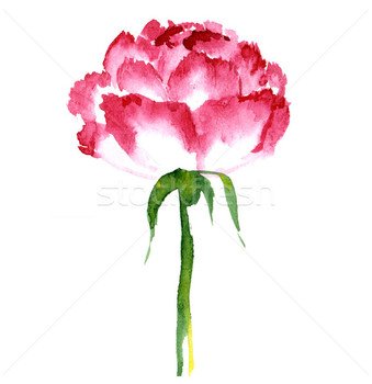 Simple Watercolour Flowers
