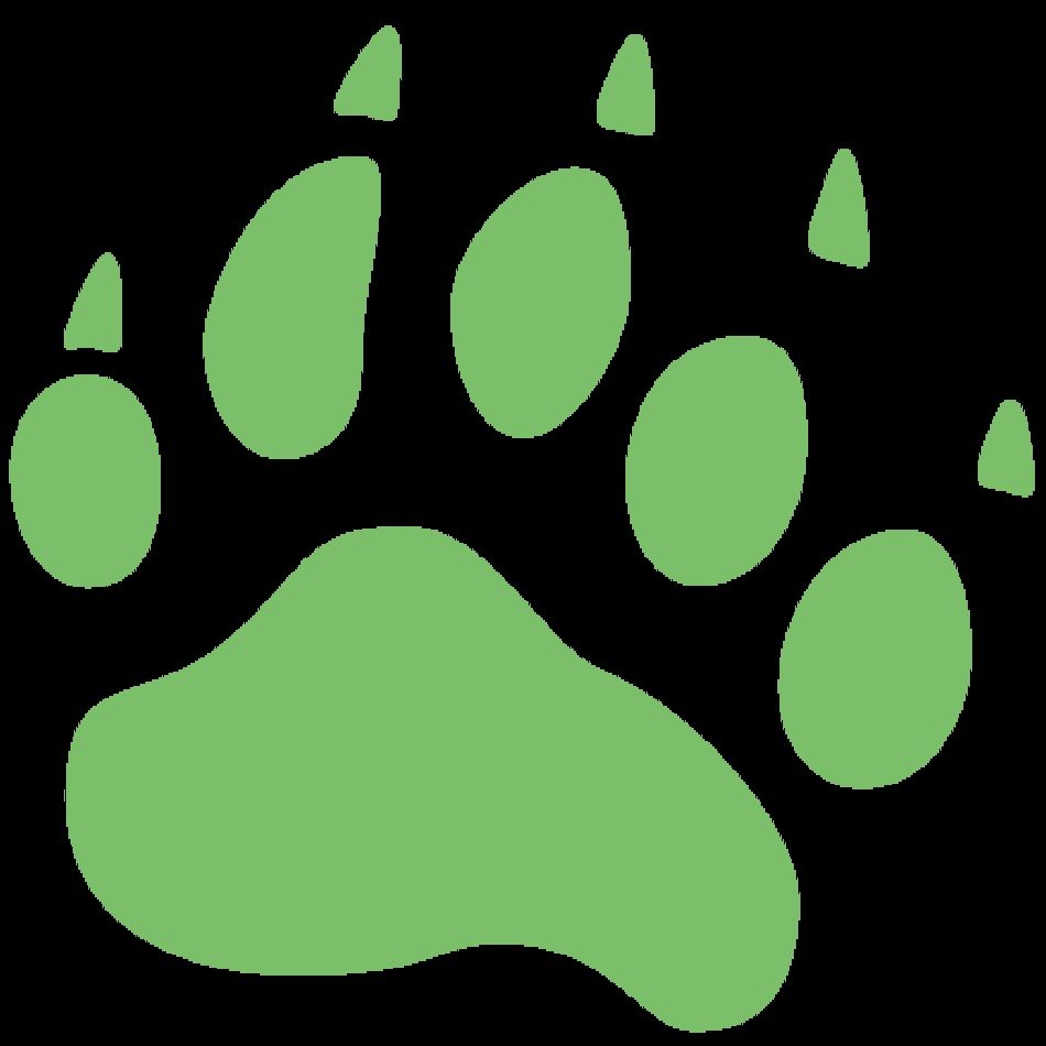 Bear Foot Print