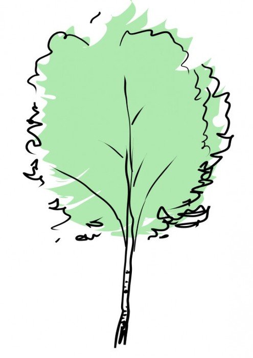 Green Tree Clip Art N13