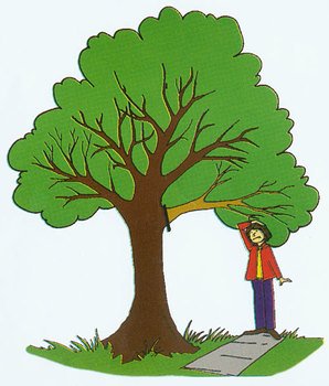 Tree With Three Branches