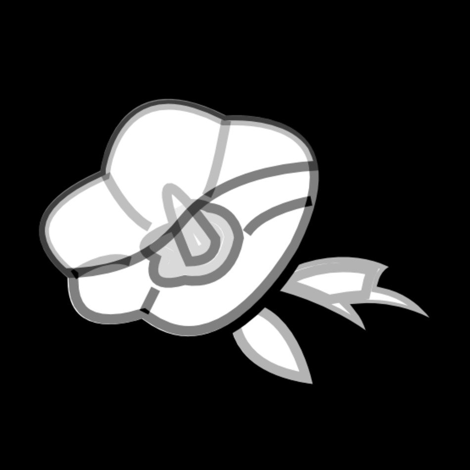 Black And White Rose Icon