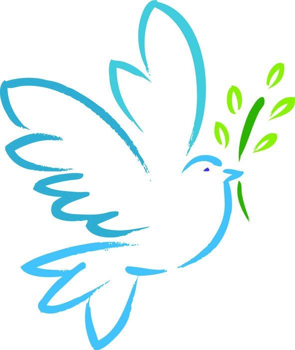 nice Peace Dove drawing