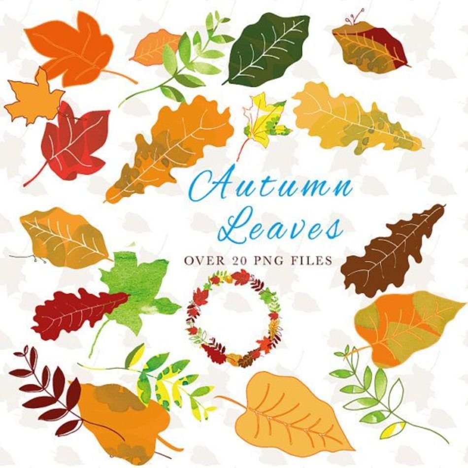 Fall Leaves Clip Art N154