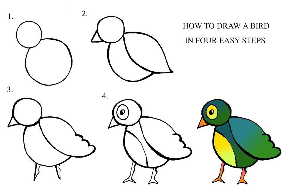 How To Draw Birds Step By N4