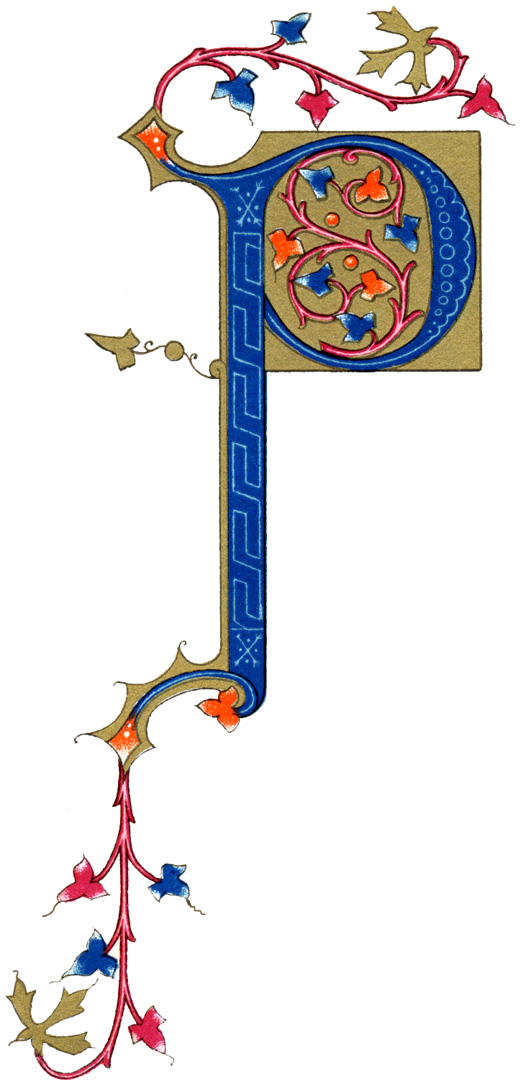 Fancy Letter P drawing free image download