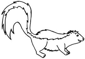 Skunk Coloring Pages