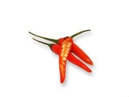 hot Thai pepper