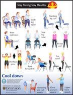 Printable Chair Exercises For Seniors