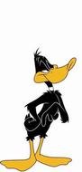 Cartoon Daffy Duck clipart