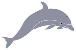 gray dolphin on black as graphic illustration