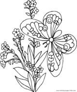 Butterfly And Flower Coloring Pages N2
