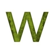 Letter W Clip Art N12