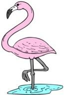 Flamingo Clip Art N54