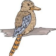 Kookaburra Clip Art N2