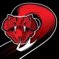 red snake on a black background